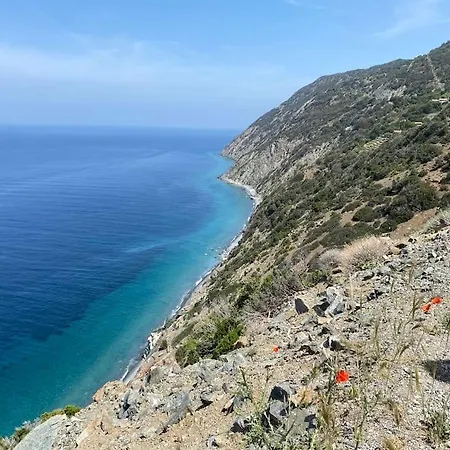 Elba's Right Spot * 坎普码港