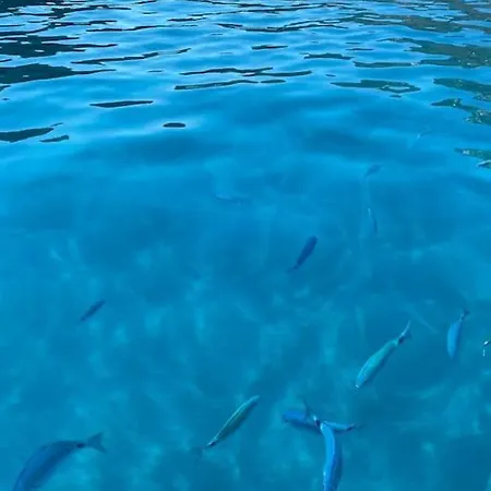 Σπίτι διακοπών Elba's Right Spot